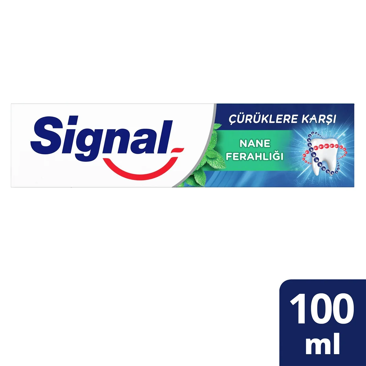 SİGNAL DİŞ MACUNU 100 ML (12)