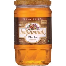 BALPARMAK SÜZME ÇİÇEK BALI 460GR(12)