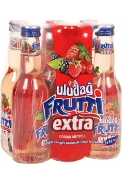 ULUDAĞ FRUTTİ EXTRA ŞİŞE ORMAN MEYVELİ (24)