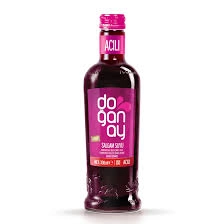 DOĞANAY ŞALGAM 330ML ACI (24)