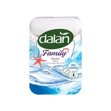 DALAN FAMİLY EL SABUN 70 GR. (24)