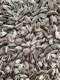 AYÇITIR ÇEKİRDEK 400 GR (10)