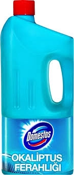 DOMESTOS LİMON OKALİPTÜS 2/1(9)