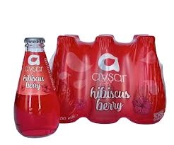 AVŞAR MEYVELİ SODA HİBİSKUS (24)