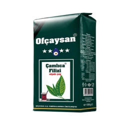 OFÇAYSAN ÇAMLICA FİLİZ 1/1 (12)