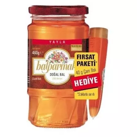 BALPARMAK SÜZME BAL 460GR+40GR (6)