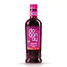 DOĞANAY ŞALGAM 330ML ACI (24)