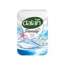 DALAN FAMİLY EL SABUN 70 GR. (24)