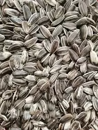 AYÇITIR ÇEKİRDEK 400 GR (10)