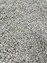 FASULYE 25KG