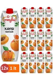 MEYSU MEYVE SUYU 1 LİTRE KAYISI (12)