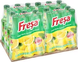 FREŞA MEYVELİ SODA LİMON (24)