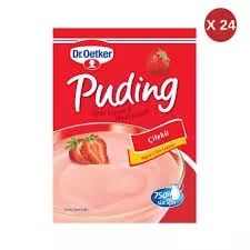 DR.QUTKER PUDİNG ÇİLEK (24)