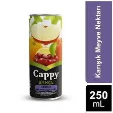 CAPPY TENEKE 250ML KARIŞIK (12)