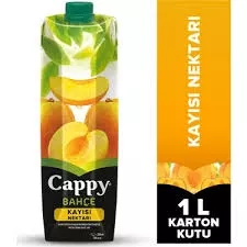CAPPY MEYVE SUYU KAYISI 1 LT (12)