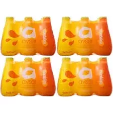 AVŞAR SODA MANDALİNA (24)