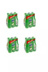 ULUDAĞ FRUTTİ EXTRA ŞİŞE ARMUT (24)