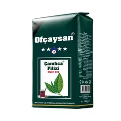 OFÇAYSAN ÇAMLICA FİLİZ 1/1 (12)
